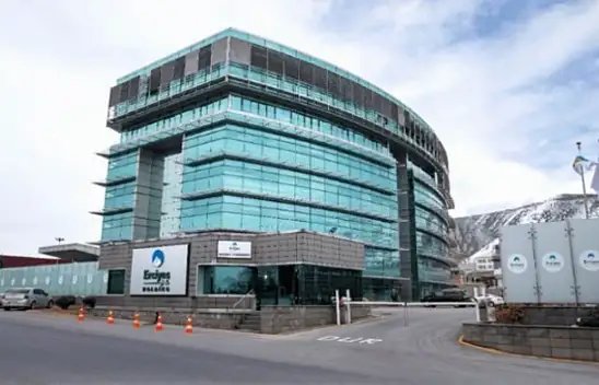 Erciyes Anadolu Holding'in Satış Şekli Belli Oldu
