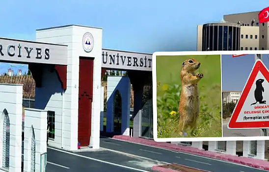 Erciyes Üniversitesi'nde on binlerce gelengi nasıl öldü?