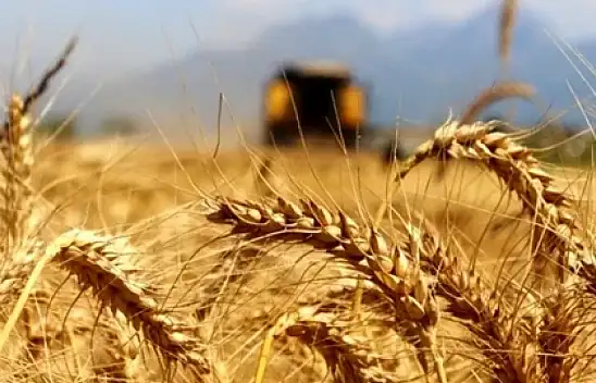 Erdoğan'ın müjdesi çiftçilerin yüzünü güldürdü