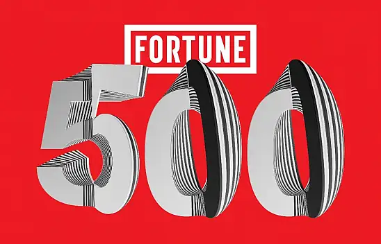 Fortune 500'de hangi Kayserili şirketler var?
