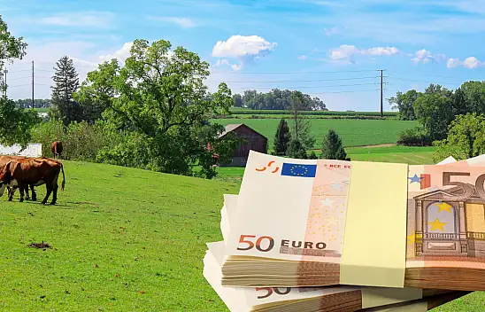 Girişimcilere 50 milyon avro hibe: Başvurular başladı!