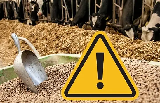 Gübre ve yem fiyatları uçuşa geçti: Üretici alarmda!