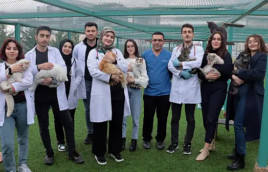 Hem kendilerini geliştiriyorlar hem yüreklere dokunuyorlar