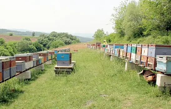 Hobi bahçesinden sonra bu projenin de tarihi belli oldu!