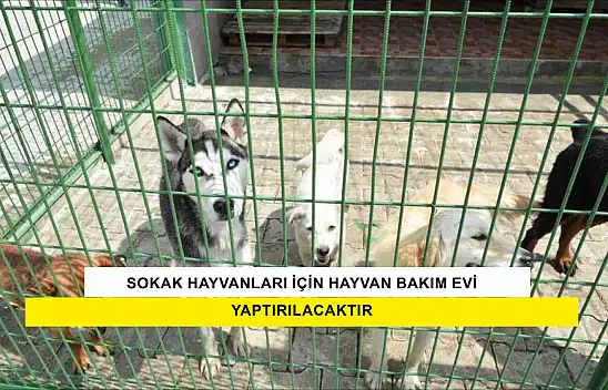 İlçemiz 16174 Ada 1 Parselde Sokak Hayvanları İçin Hayvan Bakım Evi Yapılması İşi