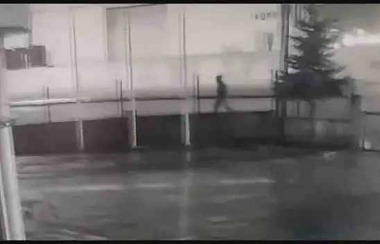 Hırsızlığın böylesi görülmedi!