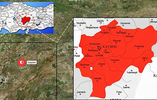 İstila kontrolden çıktı – Bu tür tehdit saçıyor, artık evlere de giriyor!