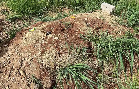 Kahramanmaraş'taki olayda küçük kızın mezarına bayram şekeri bırakıldı...