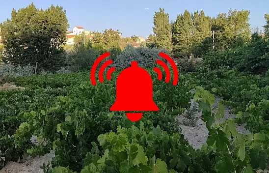 Kayseri bağlarında kırmızı alarm!