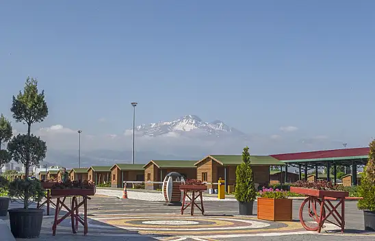 Kayseri 'Danaburnu' alarmı: Sessiz istilacılar her şeyi yok edebiliyor!