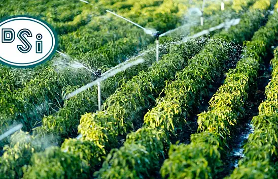 Kayseri'de 2025 sulama ücreti ne kadar? İşte fiyat tarifesi!