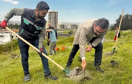 Kayseri'de 300 fidan toprakla buluştu