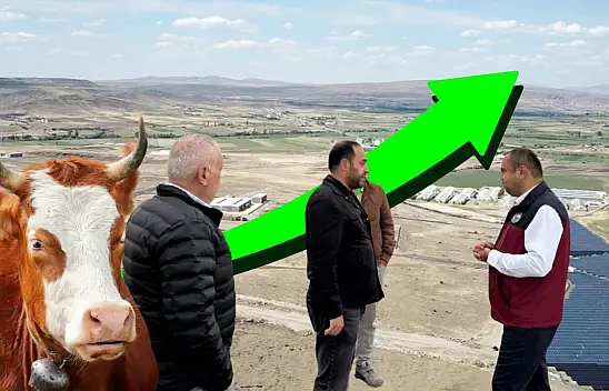 Kayseri'de 500 işletme, 100 bin ton et üretimi, 20 bin istihdam...: Beydeğirmeni Bölgesi Büyüyor!