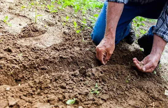 Kayseri'de açıklandı - Çiftçi başına 162 bin 500 TL borç düşüyor!