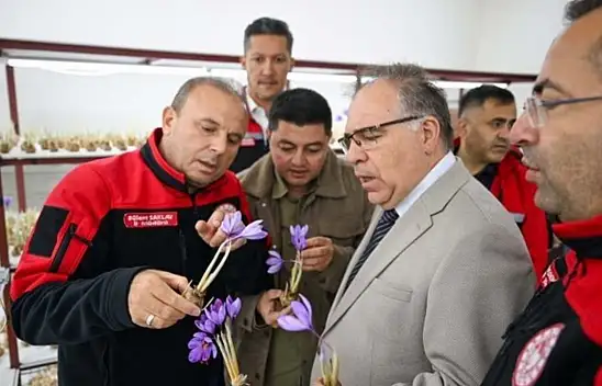 Kayseri'de alternatif tarım! Safran üretimi incelendi…