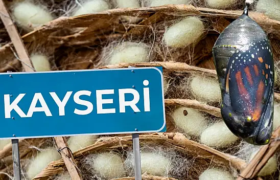 Kayseri'de altın koza parlıyor: İç Anadolu'da canlanıyor!