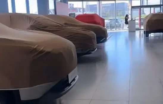 Kayseri'de arabaya adeta duvak geçirdiler: Bakması ise ücretli!