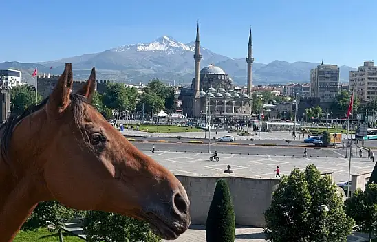 Kayseri'de atlar otelde kalıyor – Sezon başlıyor!