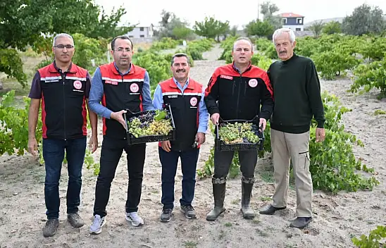 Kayseri'de 'bağ bozumu' başladı: İl Müdürü Saklav yerinde inceledi!