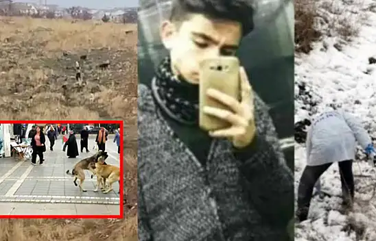 Kayseri'de başıboş köpek tepkisi!
