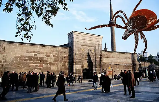Kayseri'de bir kene vakası daha: Merkez mahallede görüldü!