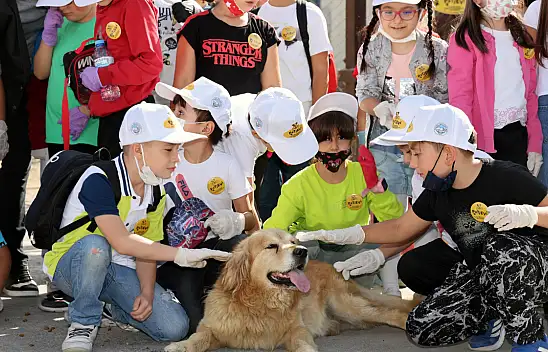 Kayseri'de bu proje takdir topluyor!