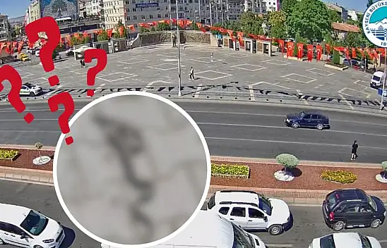 Kayseri'de bu yıl bolluk var: Panik artıyor, vatandaş tedirgin!