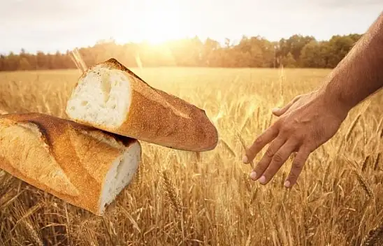 Kayseri'de buğday alarmı: Ekmek yüzde 55 zamlandı, çiftçi fiyat bekliyor!
