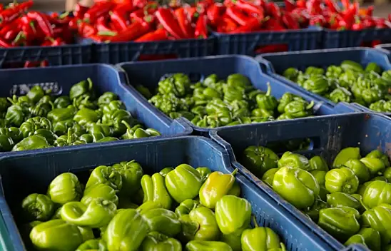 Kayseri'de bugün pazar var mı? Pazar pazarı nerelere kuruldu? (3 Mart)