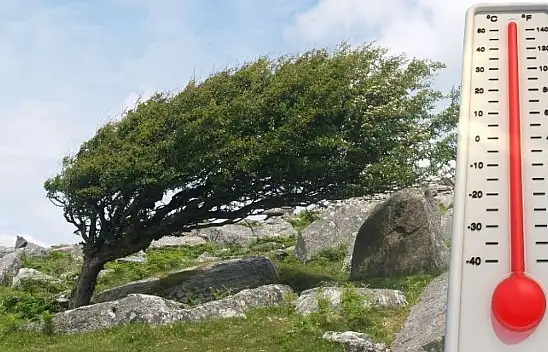 Kayseri'de bugün sert rüzgârlara dikkat! (29 Mart)