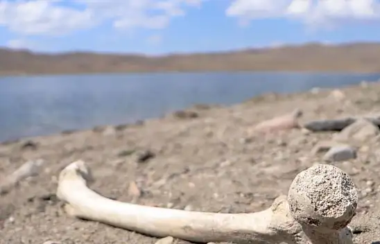 Kayseri'de Bulunan Kemiklerin Kime Ait Olduğu Şaşırttı