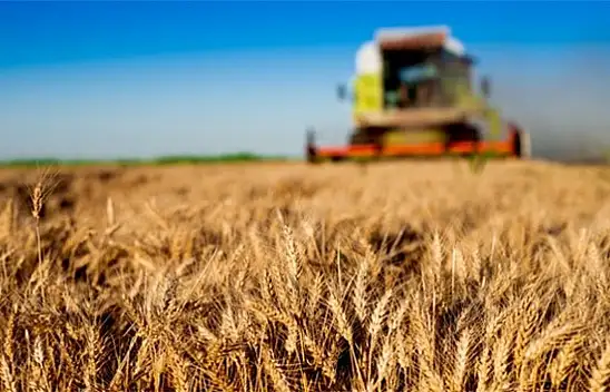 Kayseri'de büyük buluşmaların bir yenisi daha yarın gerçekleşecek!