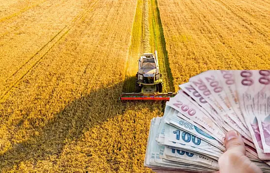 Kayseri'de çiftçiler heyecanla bekliyordu – Destek ödemeleri bugün başlıyor!