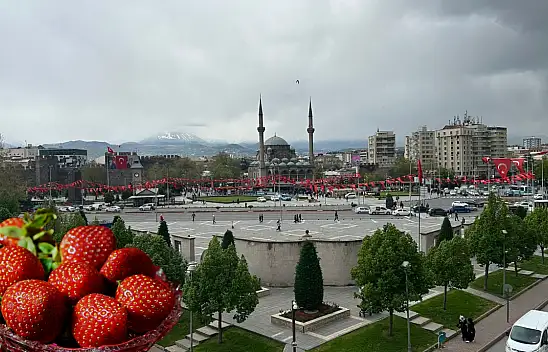 Kayseri'de çilek yetiştirmek isteyenler bu kursa akın edecek: Haftanın 3 günü...