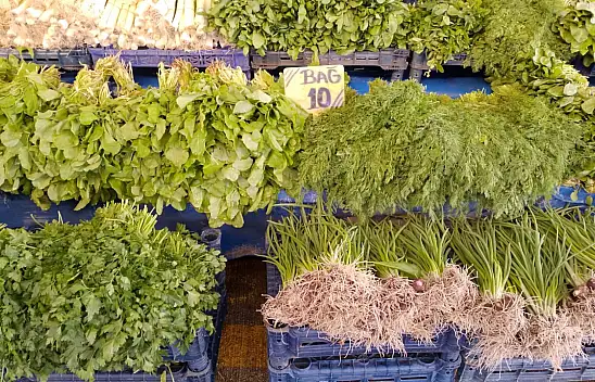 Kayseri'de cuma semt pazarı nerelerde kurulacak? (31 Ocak)