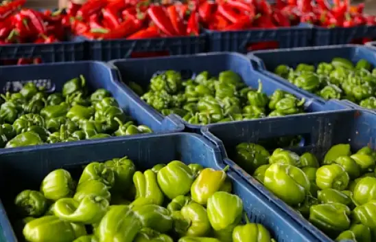 Kayseri'de Cumartesi Pazarı Nerelerde Kurulacak?