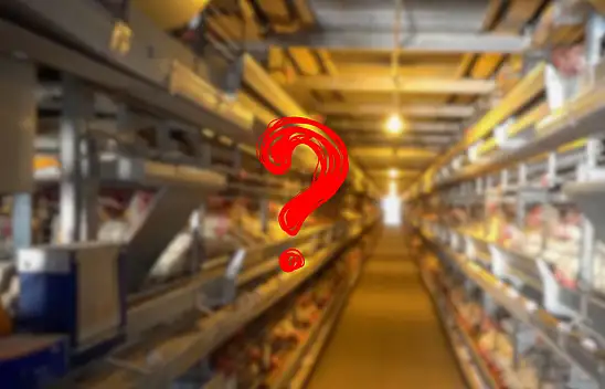 Kayseri'de de balon patladı: Tanesi 4,35 TL'den 3,85 TL'ye düştü!