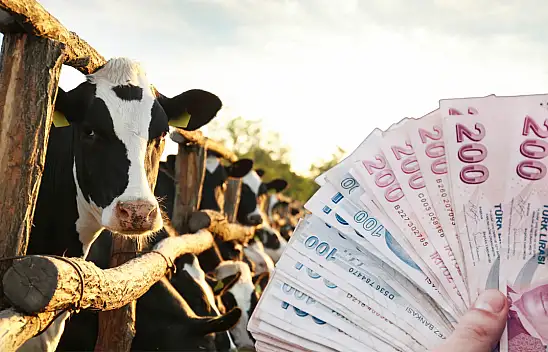 Kayseri'de de merakla beklenen sonuçlar açıklandı: Hak sahipleri için süre başladı!