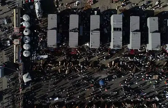 Kayseri'de fiyatlar makul - Vatandaşın cebi yanmayacak!