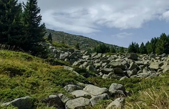 Kayseri'de git gide artıyor - Vatandaşlar tedirgin!