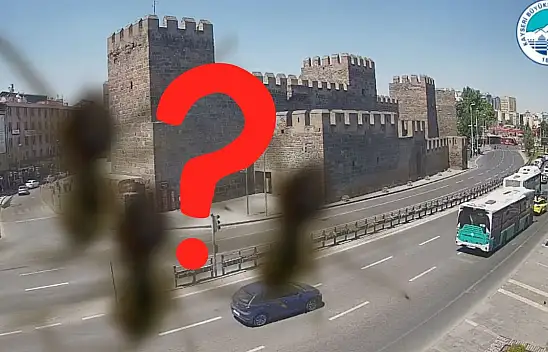 Kayseri'de görüldü, bölgede panik yarattı: 1 metre zıplayabiliyor ve zehirli…