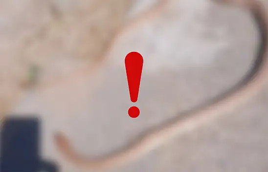 Kayseri'de görülen yılan şaşkınlık yarattı!