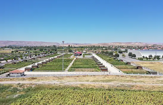 Kayseri'de her Cumartesi kuruluyor - Kayserililer çok memnun!