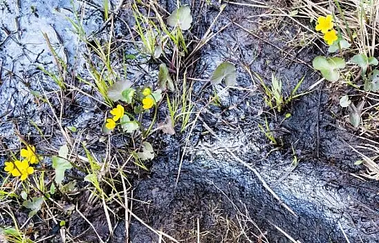 Kayseri'de Kaçacak Yer Bulamadılar - Eğlenceleri Yarıda Kaldı!