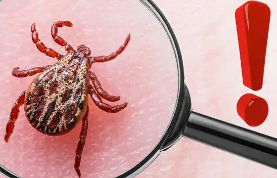 Kayseri'de kene haritası değişti: 2010'dan bu yana…