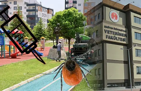 Kayseri'de kene önlemi: Vatandaş tedirgin – Gelişmeler olumlu!