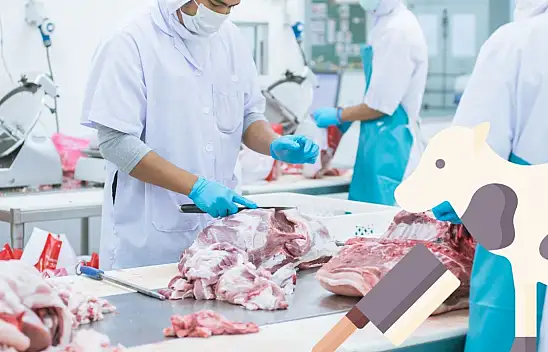 Kayseri'de kesim fiyatları açıklandı mı?