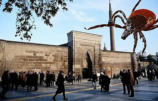 Kayseri'de KKKA alarmı: Kene yapışan 5. kişi de hayatını kaybetti!