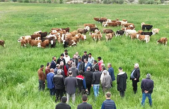 Kayseri'de 'Köyümde Hayat Var Projesi' Hayata Geçti!