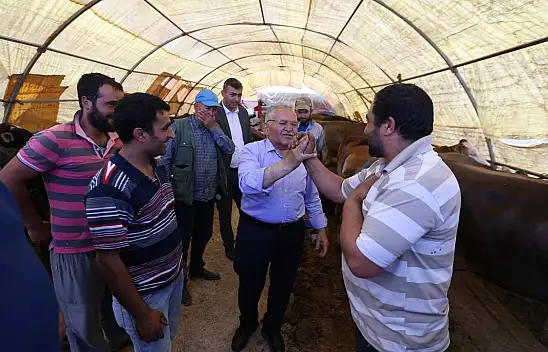 Kayseri'de Kurban Bayramı'na özel hizmet - Hem de ücretsiz!